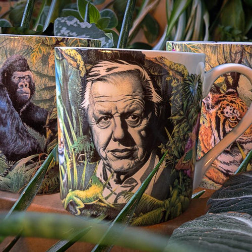 "In Celebration of Life on Earth" Attenborough Mug